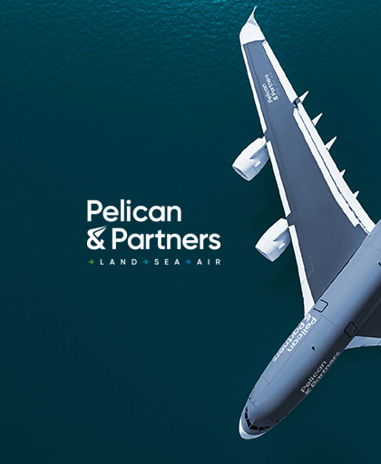 Penta Web Design & Development Pelican & Partners Work